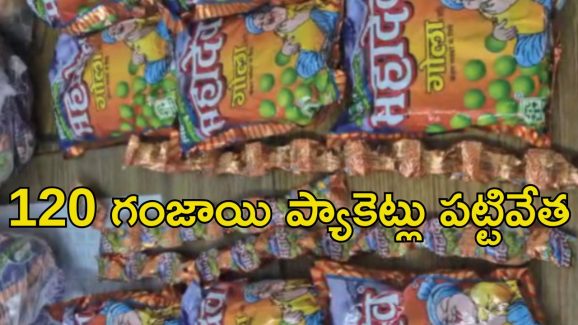 Hyderabad News: హైదరాబాద్‌లో రూ.2లక్షల విలువైన గంజాయి పట్టివేత..