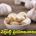 Garlic: ఖాళీ కడుపుతో ఒక్క వెల్లుల్లి తిన్నా.. ఈ ఆరోగ్య సమస్యలు రావు