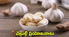Garlic: ఖాళీ కడుపుతో ఒక్క వెల్లుల్లి తిన్నా.. ఈ ఆరోగ్య సమస్యలు రావు