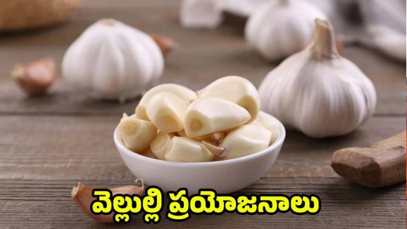 Garlic: ఖాళీ కడుపుతో ఒక్క వెల్లుల్లి తిన్నా.. ఈ ఆరోగ్య సమస్యలు రావు