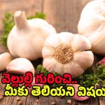 Raw Garlic Benefits: పచ్చి వెల్లుల్లి తినడం వల్ల కలిగే ప్రయోజనాలు తెలిస్తే.. అస్సలు వదిలిపెట్టరు