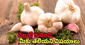Raw Garlic Benefits: పచ్చి వెల్లుల్లి తినడం వల్ల కలిగే ప్రయోజనాలు తెలిస్తే.. అస్సలు వదిలిపెట్టరు