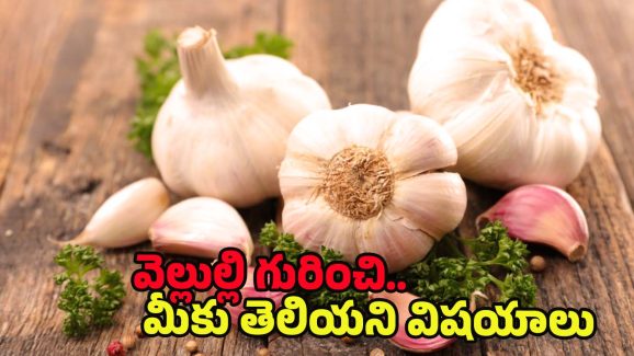 Raw Garlic Benefits: పచ్చి వెల్లుల్లి తినడం వల్ల కలిగే ప్రయోజనాలు తెలిస్తే.. అస్సలు వదిలిపెట్టరు
