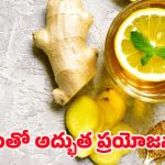 Ginger Benefits: అల్లంతో అద్భుతాలు.. ఇలా తీసుకుంటే ఆరోగ్య సమస్యలు అస్సలు రావు