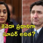 Canada Anita Anand: అనితా ఆనంద్.. కెనెడా ప్రధాని రేసులో దూసుకుపోతున్న భారత వనిత