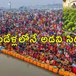 Maha Kumbh 2025 Forest: మహాకుంభమేళా కోసం ప్రయాగ్‌రాజ్ చుట్టూ అడవి సృష్టి.. మియావాకీ టెక్నిక్‌తో 10 రెట్లు వేగంగా పెరిగే చెట్లు