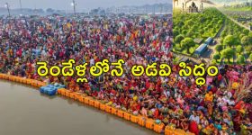 Maha Kumbh 2025 Forest: మహాకుంభమేళా కోసం ప్రయాగ్‌రాజ్ చుట్టూ అడవి సృష్టి.. మియావాకీ టెక్నిక్‌తో 10 రెట్లు వేగంగా పెరిగే చెట్లు