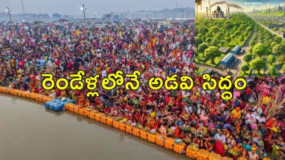 Maha Kumbh 2025 Forest: మహాకుంభమేళా కోసం ప్రయాగ్‌రాజ్ చుట్టూ అడవి సృష్టి.. మియావాకీ టెక్నిక్‌తో 10 రెట్లు వేగంగా పెరిగే చెట్లు