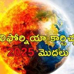 2024 Earth’s Hottest Year : భూమిపై నిప్పులు చెరిగిన సూర్యుడు.. 2024లో అత్యధిక ఉష్ణోగ్రత రికార్డ్.. మరి 2025లో