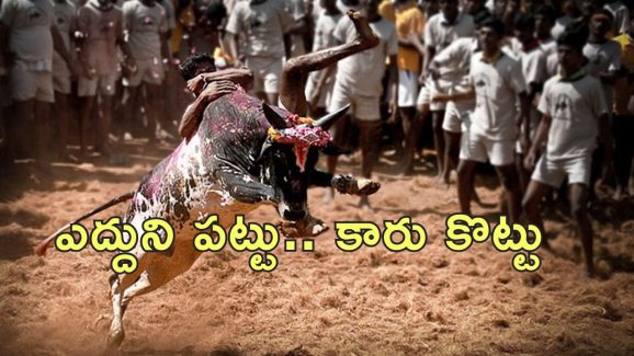 Tamil Nadu Jallikattu 2025: తమిళనాడులో జల్లికట్టు ప్రారంభం.. బరిలో 1100 ఎద్దులు.. కారు బహుమానం