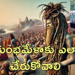 Maha Kumbhmela Transport : మాహా కుంభమేళాకు రవాణా ఏర్పాట్లు .. బస్సు, విమాన ఖర్చులు ఎంతవుతాయంటే..