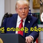 Chicken Eggs Price Trump: అమెరికాలో భారీగా పెరిగిన కోడిగుడ్ల ధరలు.. ట్రంప్ నిర్ణయాలే కారణమా?