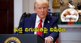 Balakrishna: పద్మభూషణ్ అవార్డు రావడంపై స్పందించిన బాలకృష్ణ.. ఏమన్నారంటే?