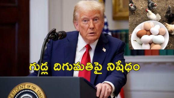 Chicken Eggs Price Trump: అమెరికాలో భారీగా పెరిగిన కోడిగుడ్ల ధరలు.. ట్రంప్ నిర్ణయాలే కారణమా?
