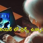 Elderly Woman Cybercrime: అమెరికాలో కూతురికి కొరియర్ పంపిన మహిళ.. రూ.1.5 కోట్లు దోచుకున్న సైబర్ మోసగాళ్లు