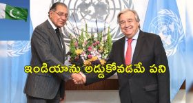 Pakistan UNSC : భారత్‌కు షాకిచ్చిన ఐరాస.. పాకిస్తాన్‌కు భద్రతా మండలిలో సీటు కేటాయింపు