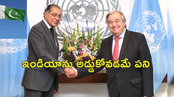 Pakistan UNSC : భారత్‌కు షాకిచ్చిన ఐరాస.. పాకిస్తాన్‌కు భద్రతా మండలిలో సీటు కేటాయింపు