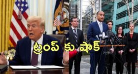 Trump Citizenship Order Block: ఫెడరల్ కోర్టులోట్రంప్‌నకు ఎదురుదెబ్బ.. జన్మతః పౌరసత్వ రద్దు అమలుపై స్టే!