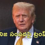 Trump Buy GreenLand : గ్రీన్‌లాండ్‌ కొనుగోలు చేస్తానన్న ట్రంప్‌.. ఎంత ధరవుతుందో తెలుసా?