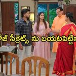 Gundeninda GudiGantalu Today episode: మీనాకు అడ్డంగా దొరికిన బాలు.. బాలుని దారుణంగా తిట్టిన శృతి..