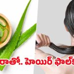 Aloe Vera For Hair: అలోవెరాలో ఈ ఒక్కటి కలిపి వాడితే.. జుట్టు రాలనే రాలదు