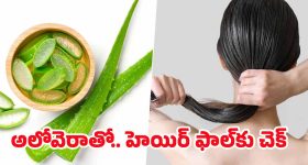 Aloe Vera For Hair: అలోవెరాలో ఈ ఒక్కటి కలిపి వాడితే.. జుట్టు రాలనే రాలదు