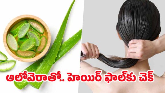 Aloe Vera For Hair: అలోవెరాలో ఈ ఒక్కటి కలిపి వాడితే.. జుట్టు రాలనే రాలదు