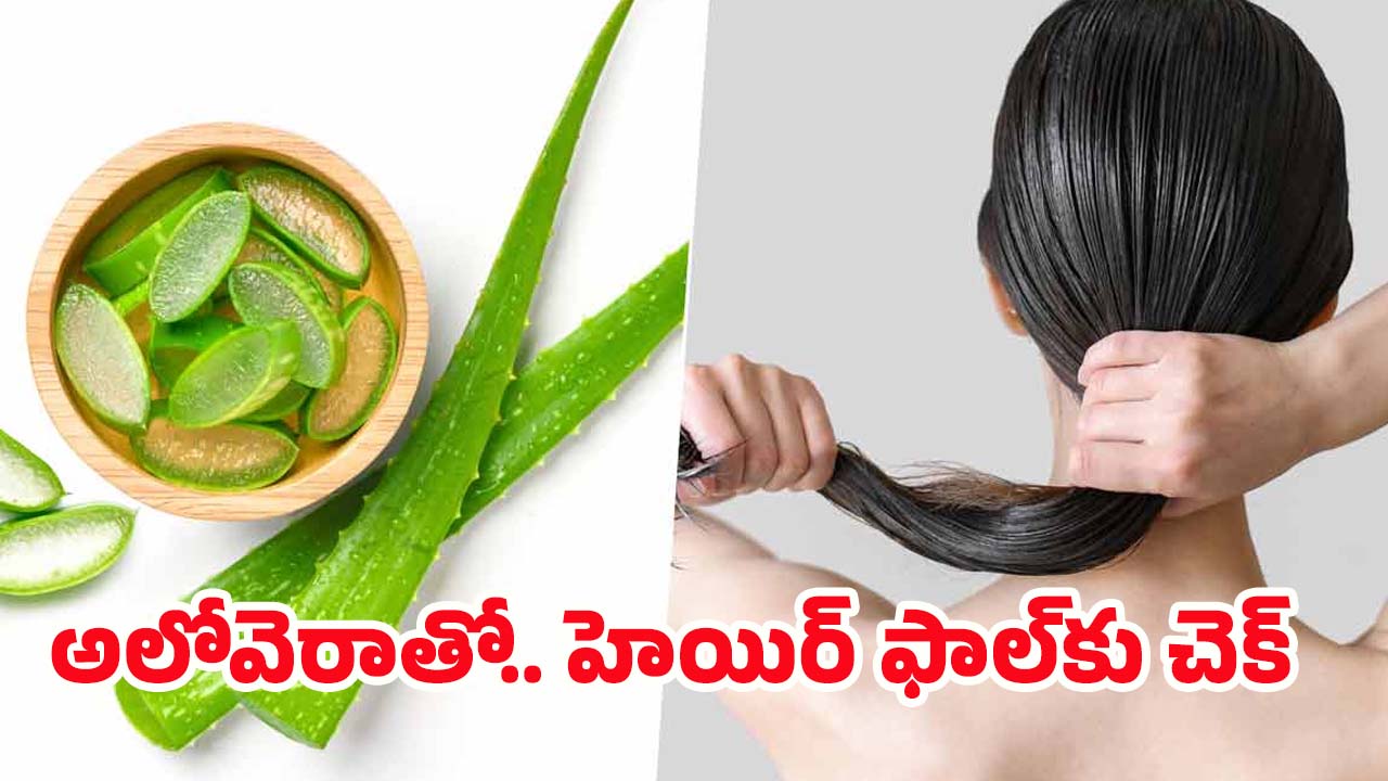 Aloe Vera For Hair: అలోవెరాలో ఈ ఒక్కటి కలిపి వాడితే.. జుట్టు రాలనే రాలదు