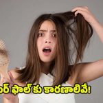 Hair Fall Reasons: జుట్టు రాలడానికి గల ప్రధాన కారణాలేంటో మీకు తెలుసా ?