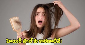 Hair Fall Reasons: జుట్టు రాలడానికి గల ప్రధాన కారణాలేంటో మీకు తెలుసా ?