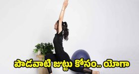 Yoga For Long Hair: ఖరీదైన హెయిర్ ఆయిల్స్ అవసరం లేదు, ఇలా చేస్తే పొడవాటి జుట్టు ఖాయం