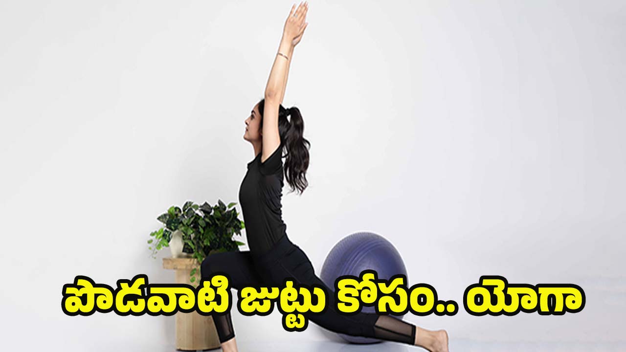 Yoga For Long Hair: ఖరీదైన హెయిర్ ఆయిల్స్ అవసరం లేదు, ఇలా చేస్తే పొడవాటి జుట్టు ఖాయం