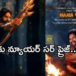 Hari Hara Veera Mallu: పవన్ కళ్యాణ్ ఫ్యాన్స్ కు న్యూయర్ సర్ ప్రైజ్.. అదిరిపోయే అప్డేట్…