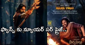 Intinti Ramayanam Today Episode : పల్లవి ప్లాన్ రివర్స్.. అసలు దొంగను బయటపెట్టిన చెంచులమ్మ..