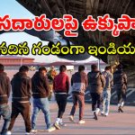 America Immigrants : చేతులకు, కాళ్లకు సంకెళ్లు వేసి మరీ అరెస్టులు.. అమెరికాలోని ఇండియన్లకు అరెస్ట్‌ల భయం..