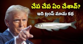 Viral Video:  దొంగకు దూల తీరింది.. కిటికీలో చెయ్యి పెట్టాడు, ఇంతలో రైలు కదిలింది, ఆ తర్వాత...!