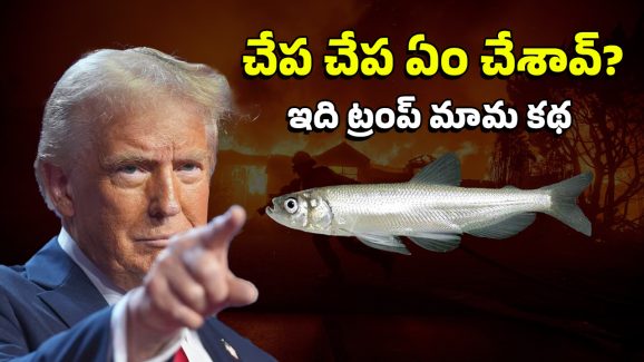 US Wild Fire : ఆ చేపకు.. కాలిఫోర్నియా మంటలకు ముడిపెట్టిన ట్రంప్ మామ, అసలు ఏంటీ ఆ చేప కథ?