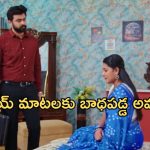 Intinti Ramayanam Today Episode : పల్లవి చెంప పగలగొట్టిన కమల్.. పార్వతి మాటలకు కన్నీళ్లు పెట్టుకున్న అవని..
