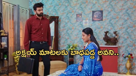 Intinti Ramayanam Today Episode : పల్లవి చెంప పగలగొట్టిన కమల్.. పార్వతి మాటలకు కన్నీళ్లు పెట్టుకున్న అవని..