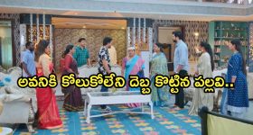 Intinti Ramayanam Today Episode : అవనిని కొట్టిన పార్వతి.. అవనికి మరో ఘోర అవమానం..