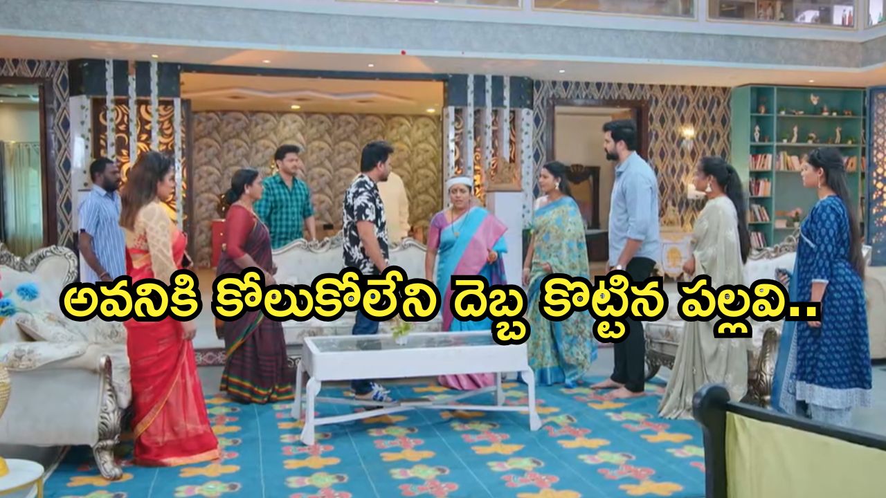 Intinti Ramayanam Today Episode : అవనిని కొట్టిన పార్వతి.. అవనికి మరో ఘోర అవమానం..