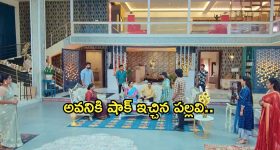 Intinti Ramayanam Today Episode : భానుమతికి కమల్ షాక్.. పల్లవి ప్లాన్ లో ఇరుక్కున్న అవని..