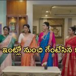 Intinti Ramayanam Today Episode : పల్లవి ప్లాన్ రివర్స్.. అసలు దొంగను బయటపెట్టిన చెంచులమ్మ..