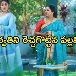 Intinti Ramayanam Today Episode : అక్షయ్ కు క్లాస్ పీకిన అవని.. పల్లవి ప్లాన్ సక్సెస్..