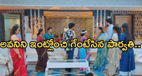 Intinti Ramayanam Today Episode : పల్లవి ప్లాన్ గ్రాండ్ సక్సెస్.. అవనికి తప్పని ముప్పు..