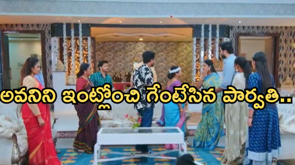 Intinti Ramayanam Today Episode : పల్లవి ప్లాన్ గ్రాండ్ సక్సెస్.. అవనికి తప్పని ముప్పు..