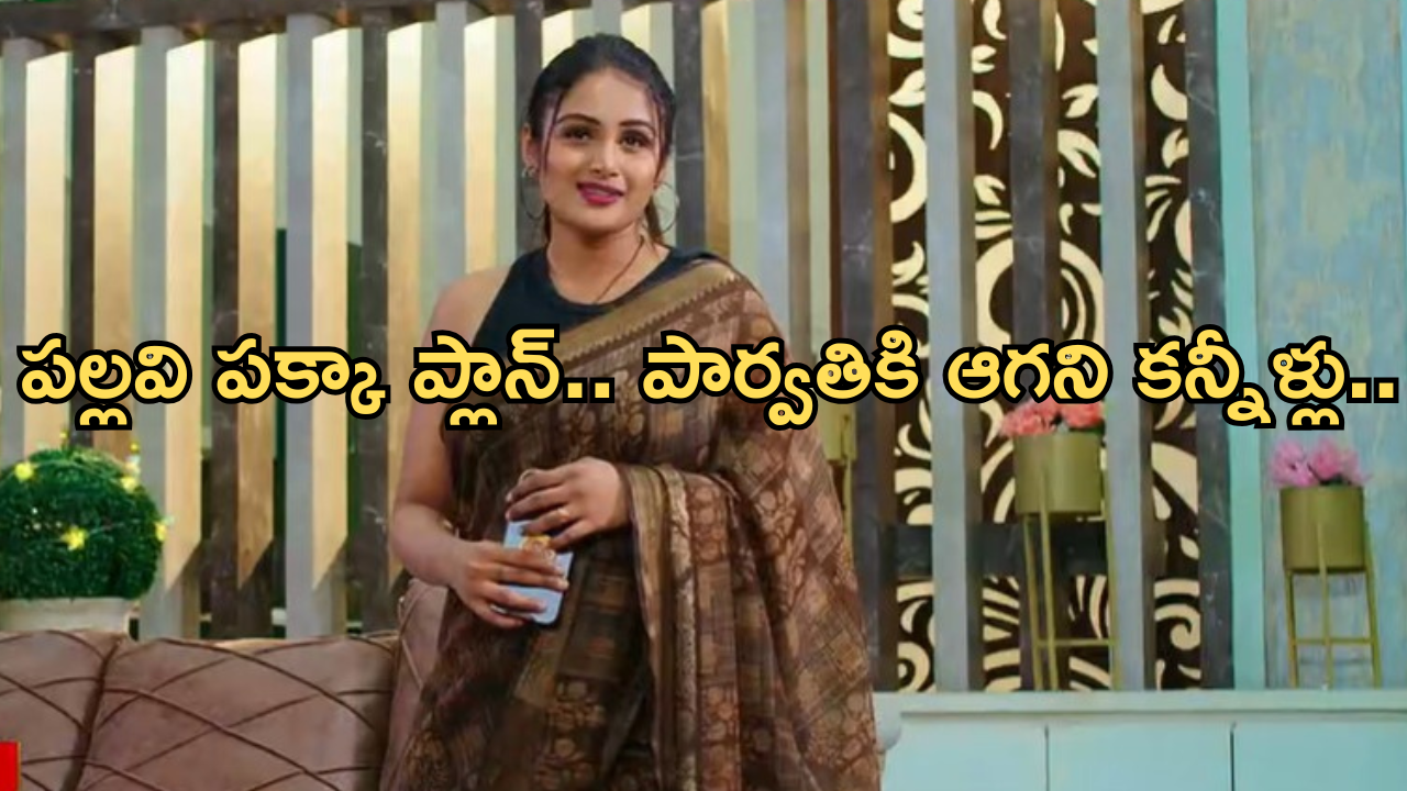 Intinti Ramayanam Today Episode : అవని దగ్గరకు చేరిన హారం.. అక్షయ్ పై పార్వతికి అనుమానం..