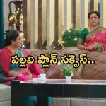 Intinti Ramayanam Today Episode : దయాకర్ ను బోల్తా కొట్టించిన చక్రధర్.. పల్లవి ప్లాన్ లో ఇరుక్కున్న అవని..