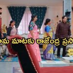 Intinti Ramayanam Today Episode : పల్లవి దెబ్బకు పార్వతికి షాక్.. శ్రీకర్ కు అవమానం..