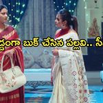 Intinti Ramayanam Today Episode : రాజేంద్రప్రసాద్ ను ఒప్పించిన అవని.. లాయర్ ను కొనేసిన పల్లవి..